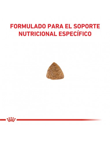 Royal Canin Gastrointestinal Feline 2kg