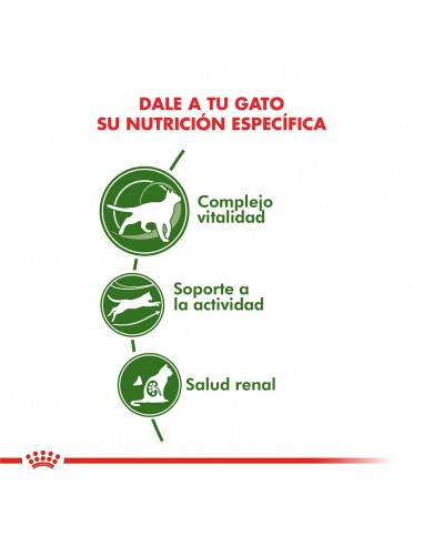 Royal Canin Active 7+ Feline 1.5kg (2...