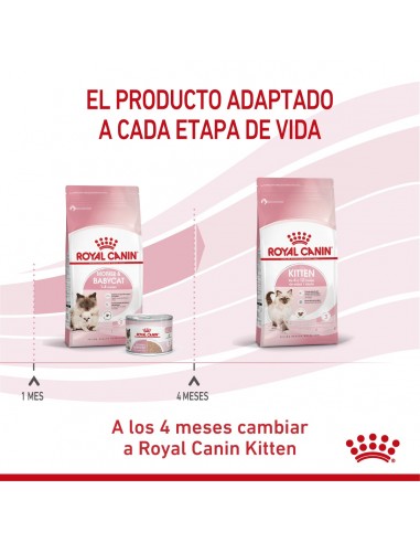 Royal Canin Mother & Babycat 1.5kg (2...