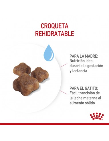 Royal Canin Mother & Babycat 1.5kg (2...