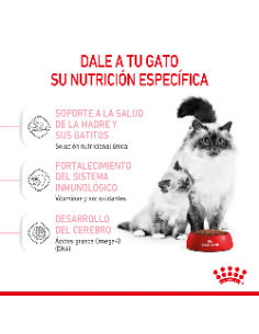 Royal Canin Babycat 1.5kg 2