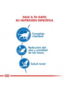 Royal Canin Indoor 7+ 2