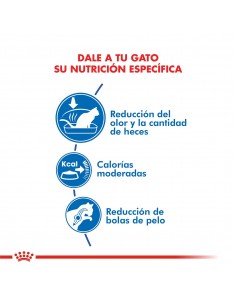 Royal Canin Indoor 2