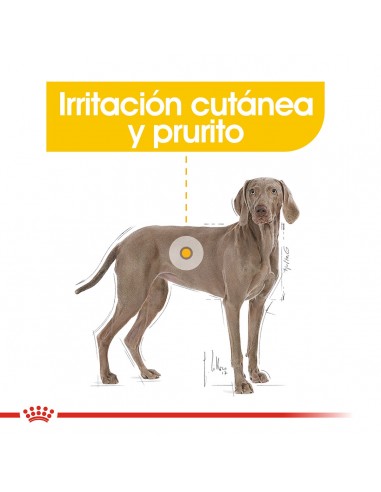 Royal Canin Maxi Dermacomfort 10kg (2...