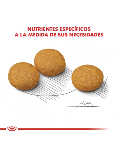 Royal Canin Medium Dermacomfort 10kg...