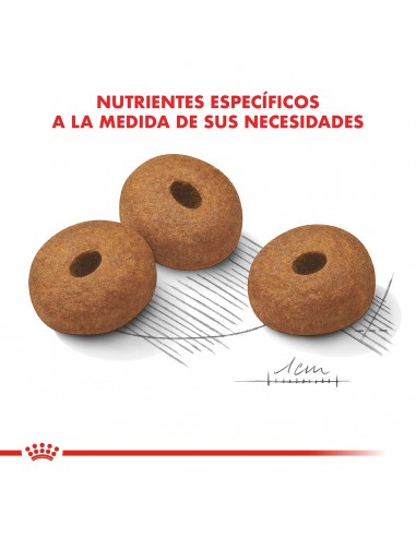 Royal Canin Maxi Weight Care 10kg (2...