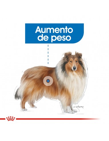 Royal Canin Maxi Weight Care 10kg (2...