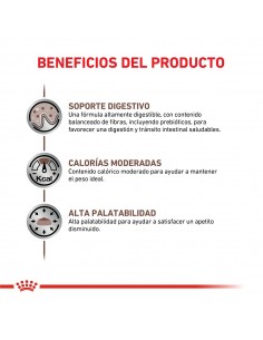 Royal Canin Gastrointestinal Moderate Calorie Feline 2