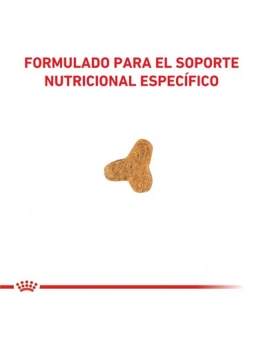 Royal Canin Gastrointestinal Fibre...