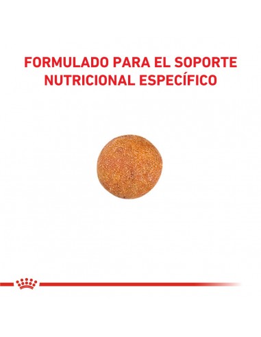 Royal Canin Urinary S/O Feline 7.5kg...